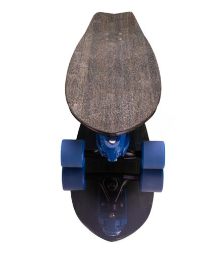 waterborne pisces surfskate